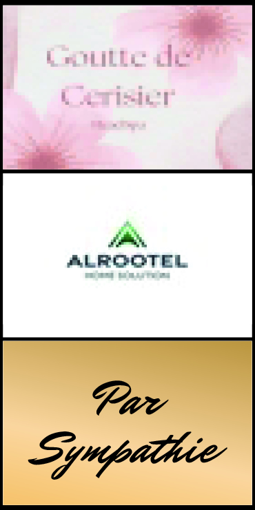 Sponsor logo
